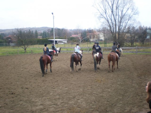 Hubertus 2010